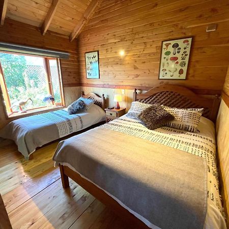 Hostal Pucon Sur エクステリア 写真