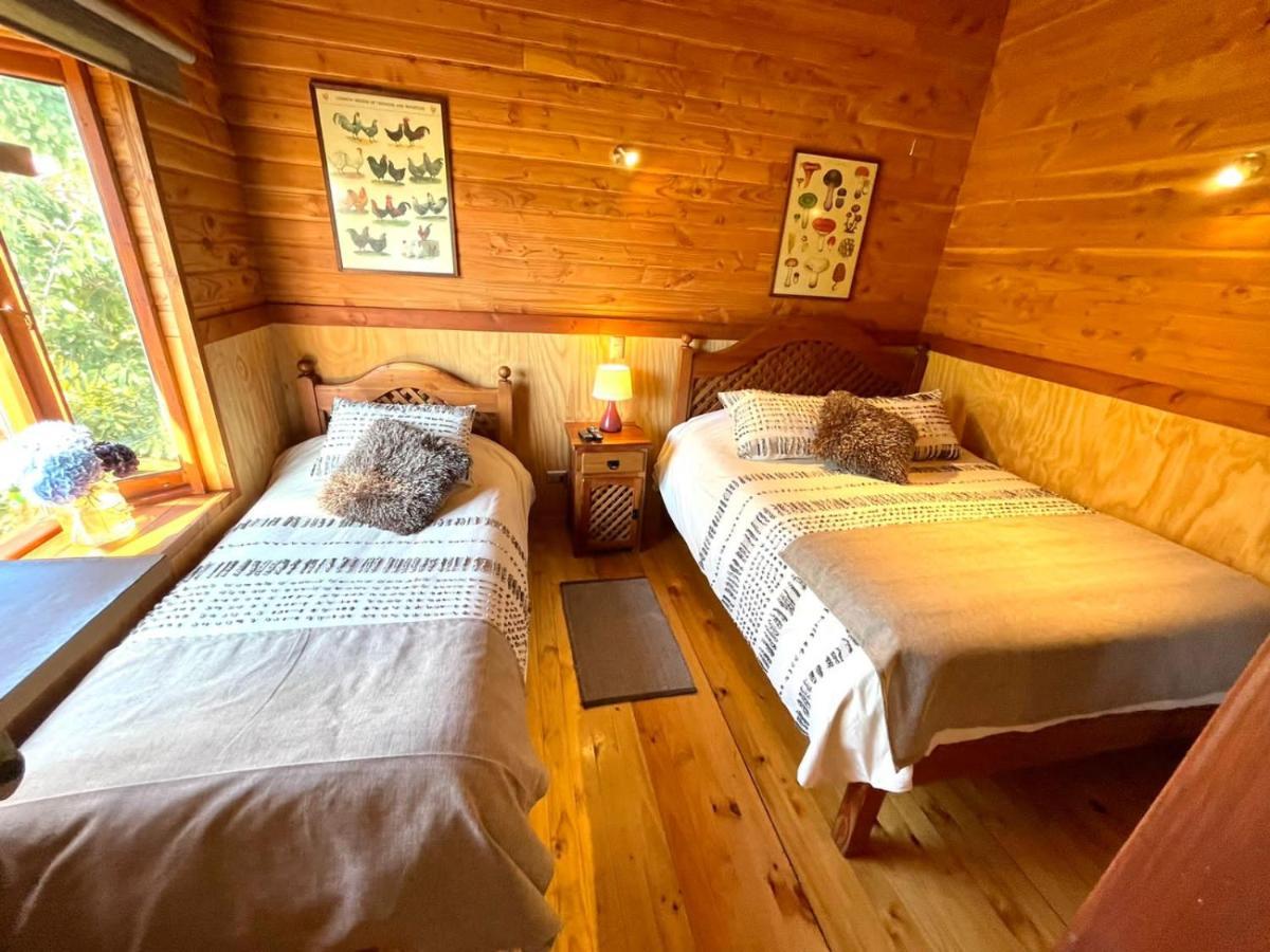 Hostal Pucon Sur エクステリア 写真
